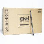 Aksonas Euaisthisias 5131268