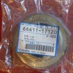 66611 17120
