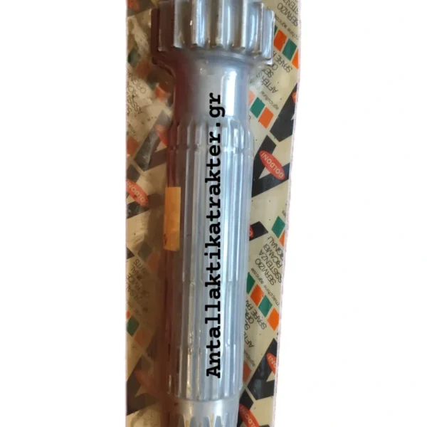 Img 20250623 115225 059 1